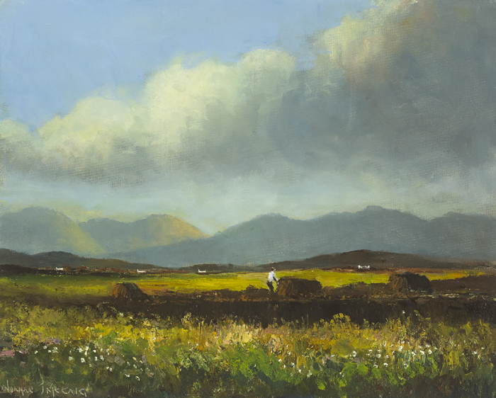 CONNEMARA PEAT BOG, BALLINA, COUNTY MAYO by Norman J. McCaig sold for 800 at Whyte's Auctions