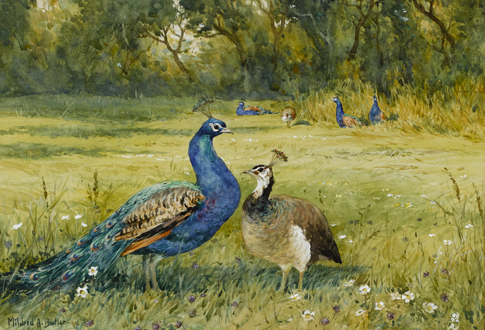PEACOCKS AT KILMURRY, COUNTY KILKENNY by Mildred Anne Butler RWS (1858-1941) RWS (1858-1941) at Whyte's Auctions