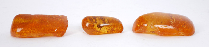 Amber containing insects. at Whyte's Auctions