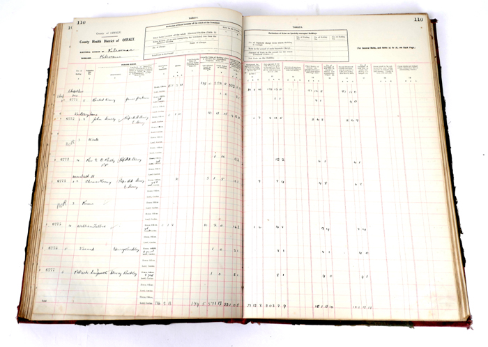 1927-28 County Offaly Rate Book. at Whyte's Auctions