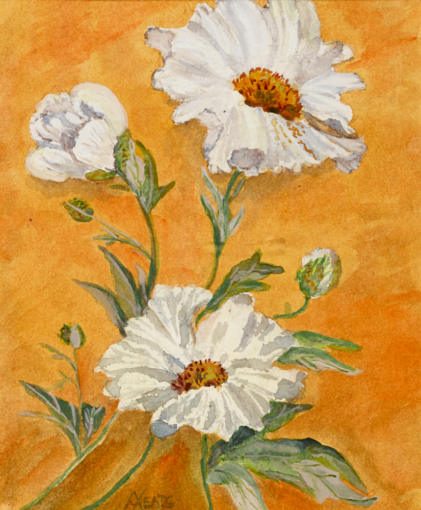 FLOWER STUDY by Anne Yeats (1919-2001) at Whyte's Auctions