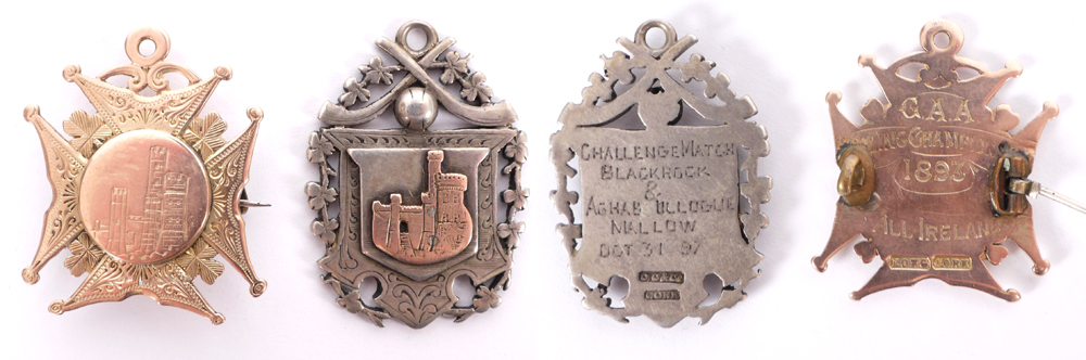 1893 GAA All-Ireland Senior Hurling Championship winner's medal to Cork. at Whyte's Auctions