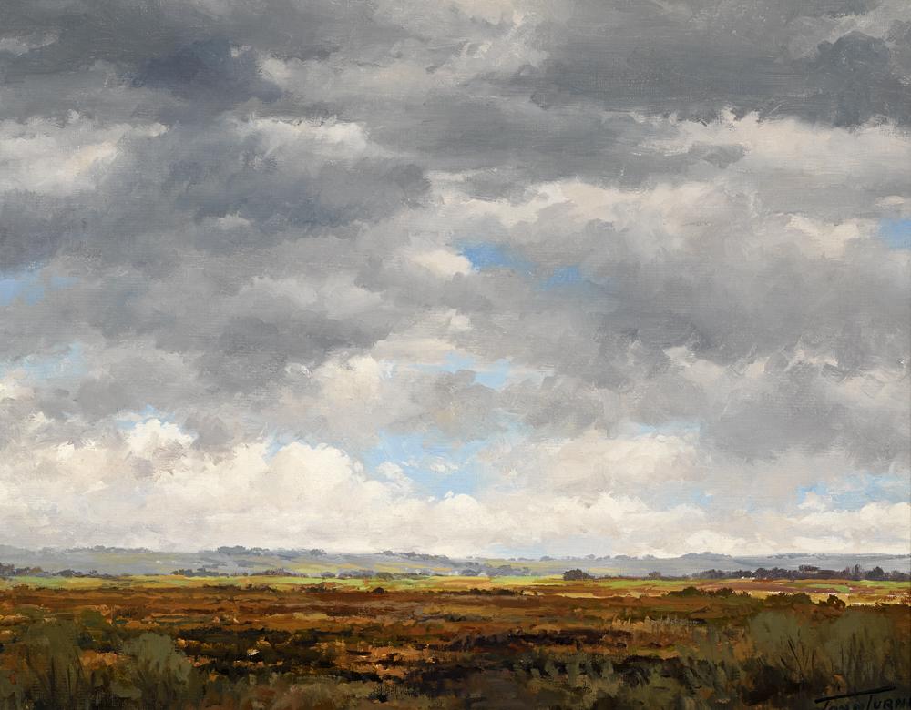 BOG NEAR BALLYMAHON, COUNTY LONGFORD by John Turner sold for �750 at Whyte's Auctions