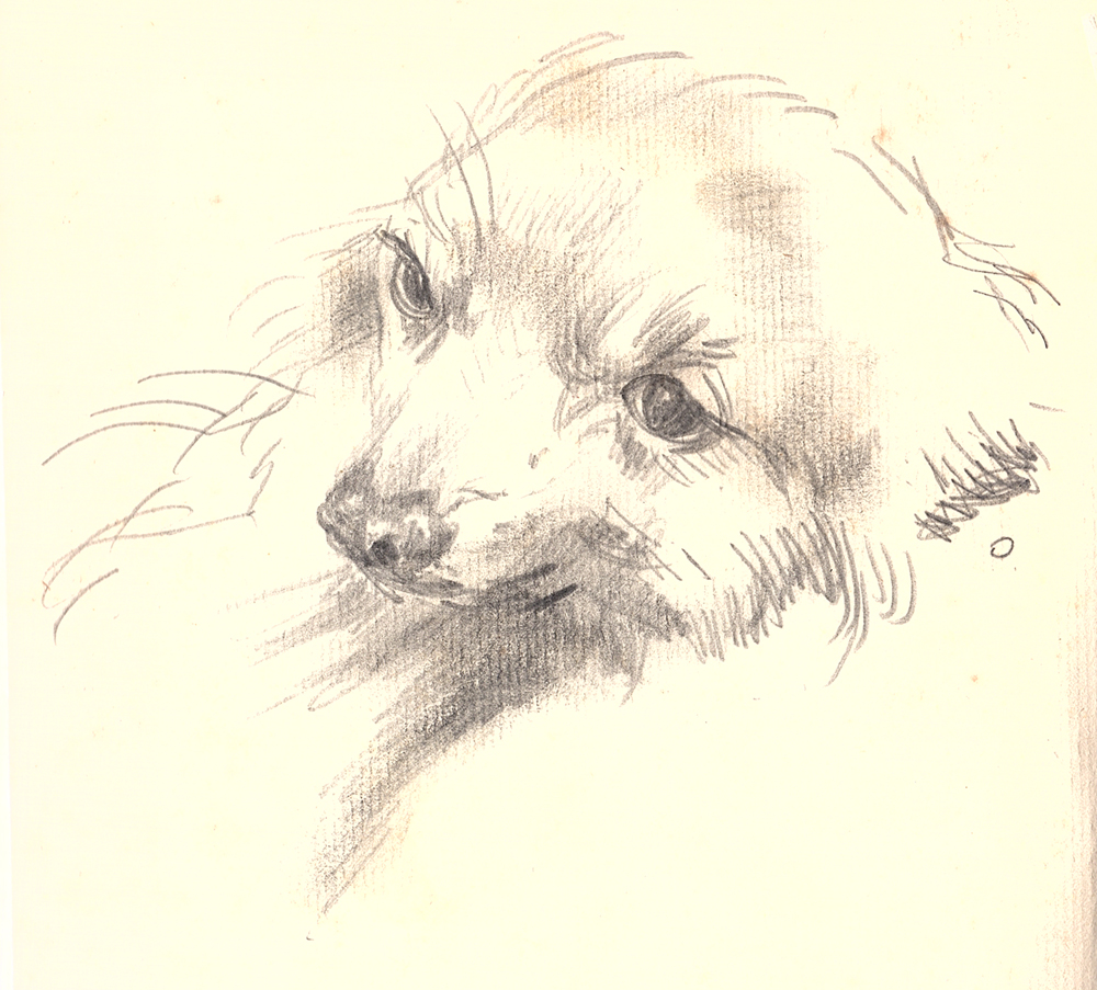 HEAD OF A DOG, c.1914-1918 by Sir William Orpen KBE RA RI RHA (1878-1931) at Whyte's Auctions
