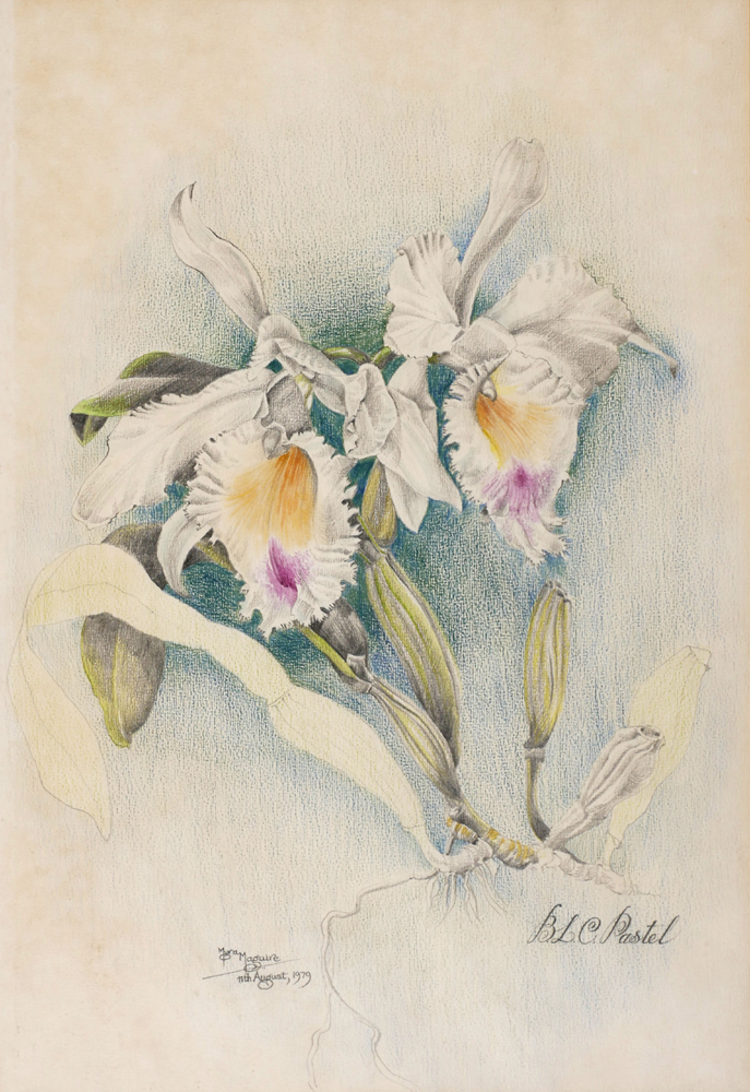 WHITE ORCHID, 1979 by Myra Maguire (1928-2015) at Whyte's Auctions