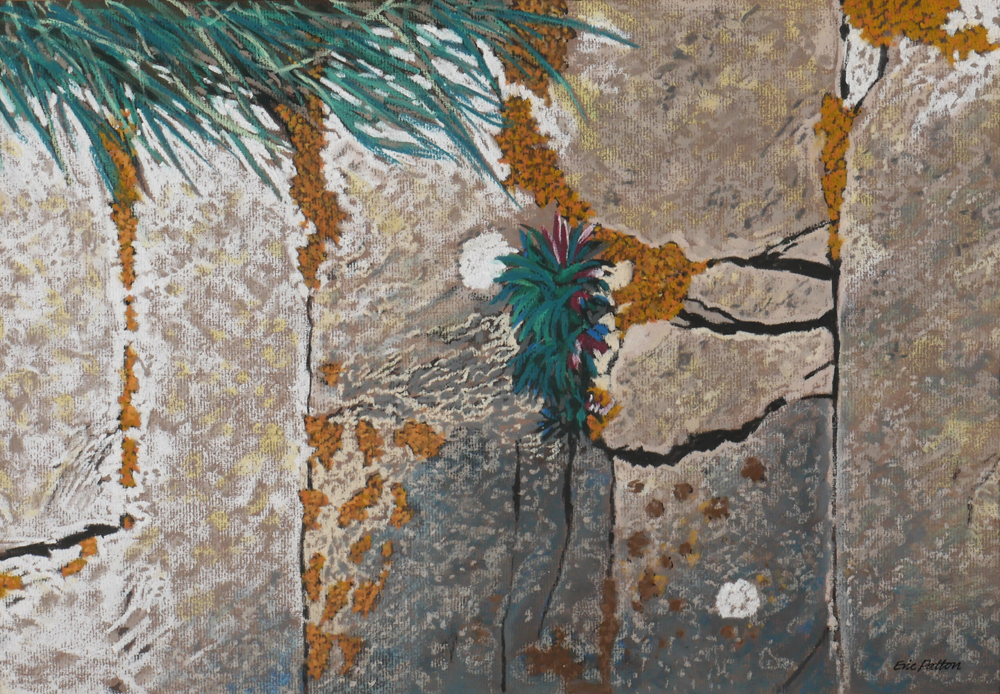 WALL PLANTS, VI by Eric Patton RHA (1925-2004) at Whyte's Auctions