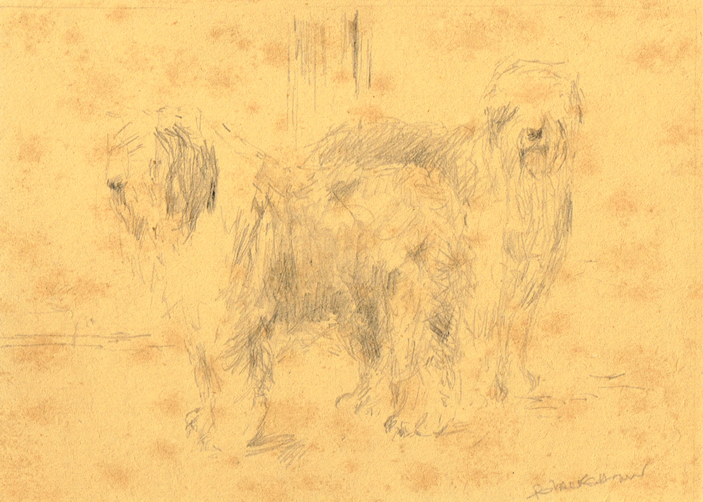 SHEEPDOGS AND THREE OTHER DRAWINGS by Basil Blackshaw HRHA RUA (1932-2016) at Whyte's Auctions