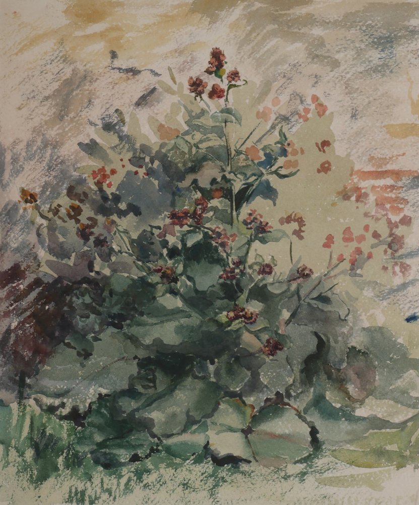 WILD FLOWERS and WILD FLOWERS AND ROCKS (A PAIR) by Violet McAdoo (1896-1961) at Whyte's Auctions