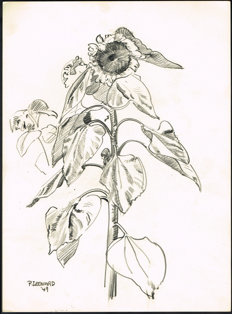 SKETCHES, FLOWERS AND SHELLS (SET OF FOUR) by Patrick Leonard HRHA (1918-2005) at Whyte's Auctions