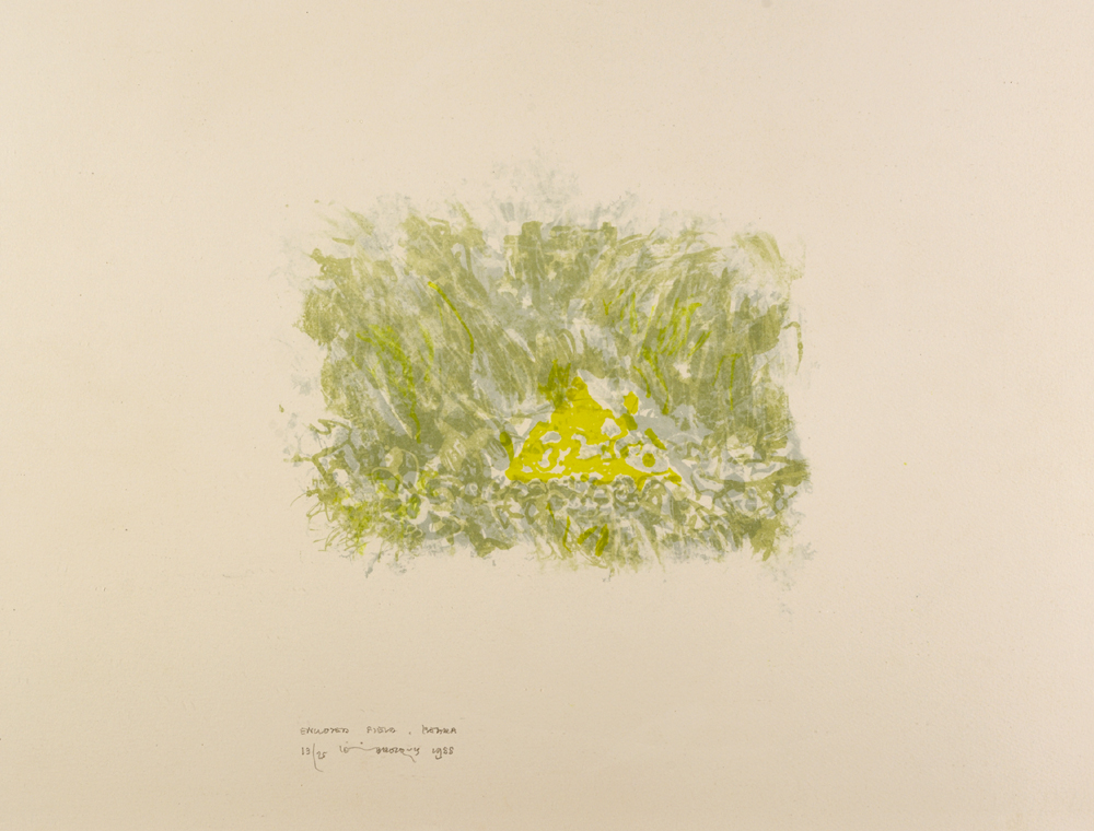 ENCLOSED FIELD, BEARA, 1988 by Louis le Brocquy HRHA (1916-2012) at Whyte's Auctions