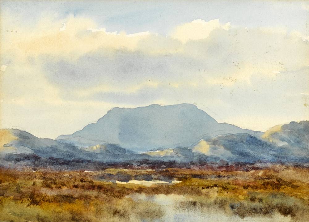 LANDSCAPE WITH MOUNTAIN IN THE DISTANCE at Whyte's Auctions