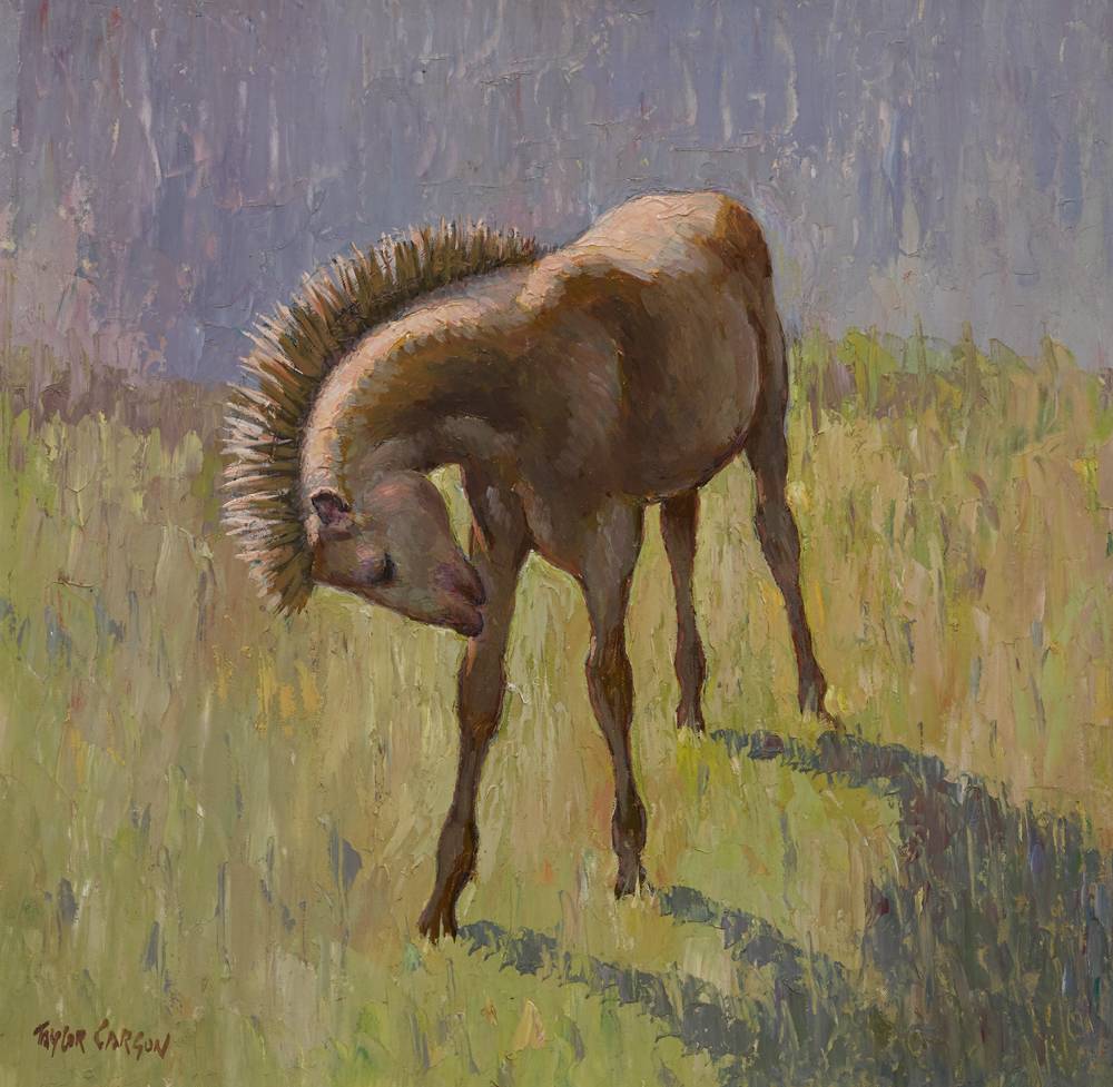 CONNEMARA FOAL, 1976 by Robert Taylor Carson HRUA (1919-2008) at Whyte's Auctions