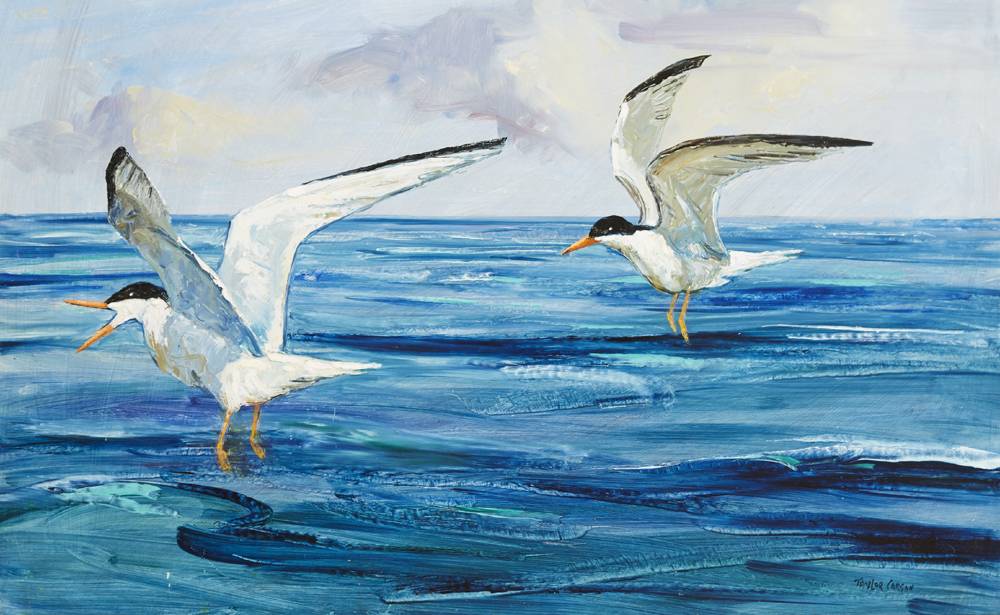 TERNS, 1976 by Robert Taylor Carson HRUA (1919-2008) at Whyte's Auctions