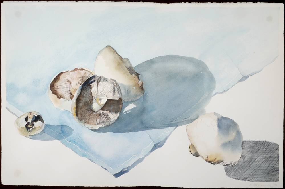 STILL LIFE - MUSHROOMS, 1992 by Ruth O'Donnell (b.1952) at Whyte's Auctions
