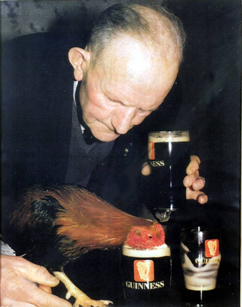 Cockfighting, 1960, Guinness-drinking champion cock at Whyte's Auctions