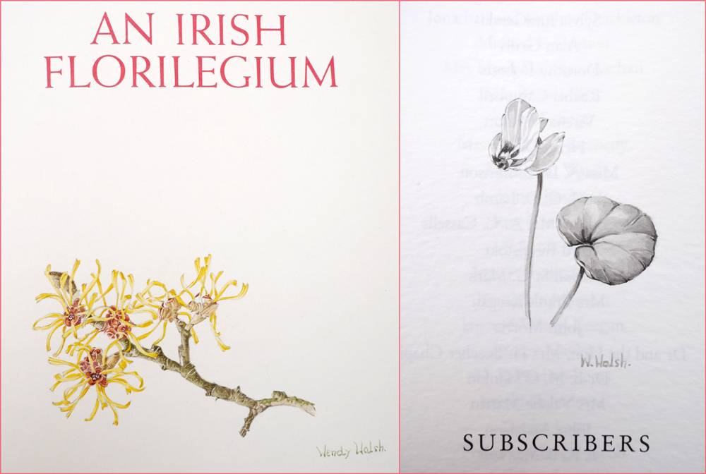 Walsh, Wendy. An Irish Florilegium. Volumes I and II. Volume I with signed original watercolour to the half title page. at Whyte's Auctions