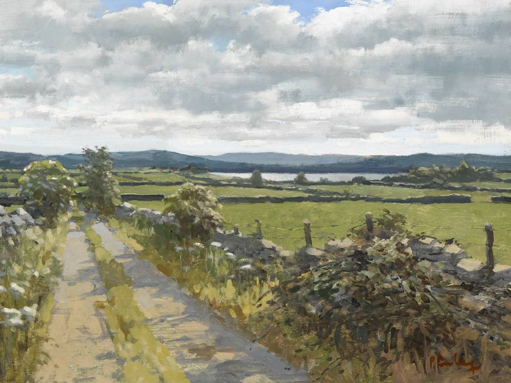 SUMMER, HEADFORD, COUNTY GALWAY by Peter Curling sold for �5,600 at Whyte's Auctions