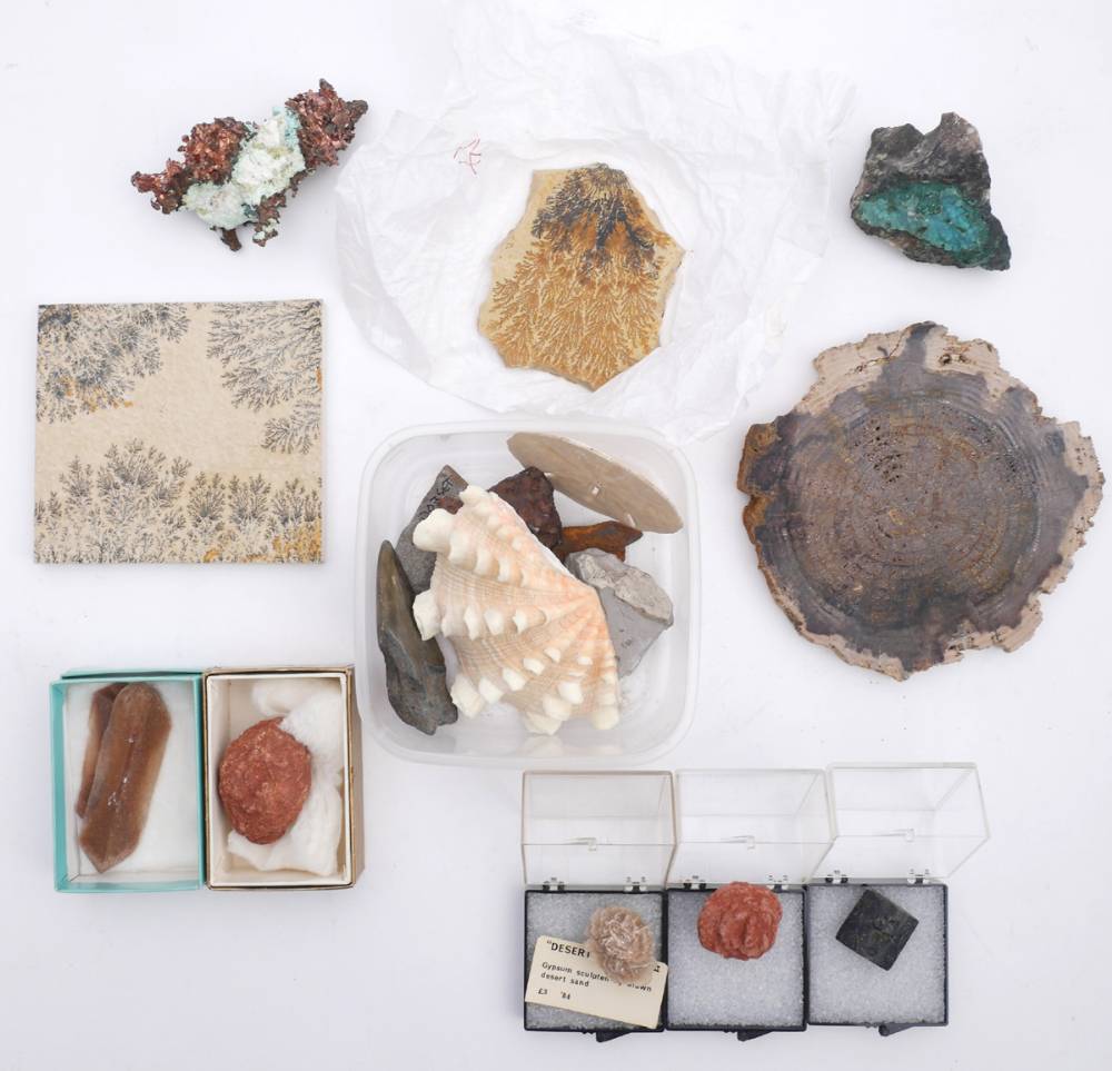 Fossils and geological samples. at Whyte's Auctions