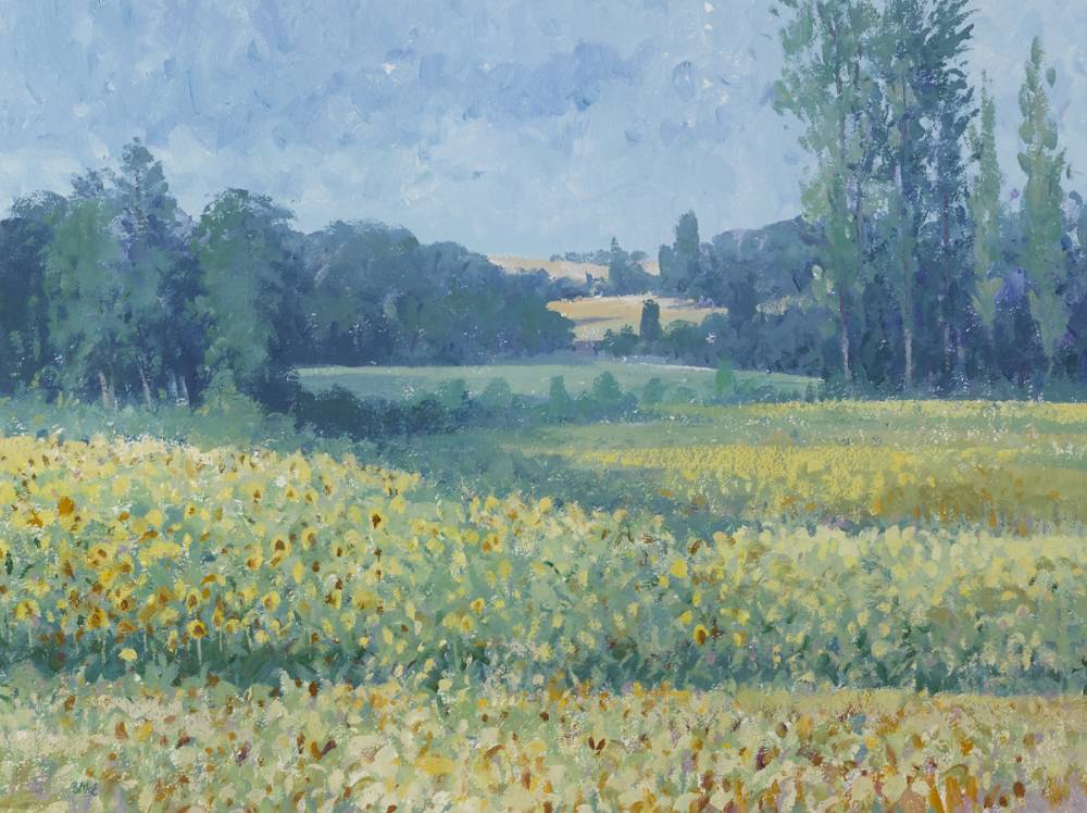 SUNFLOWER FIELDS by Brett McEntagart sold for �650 at Whyte's Auctions