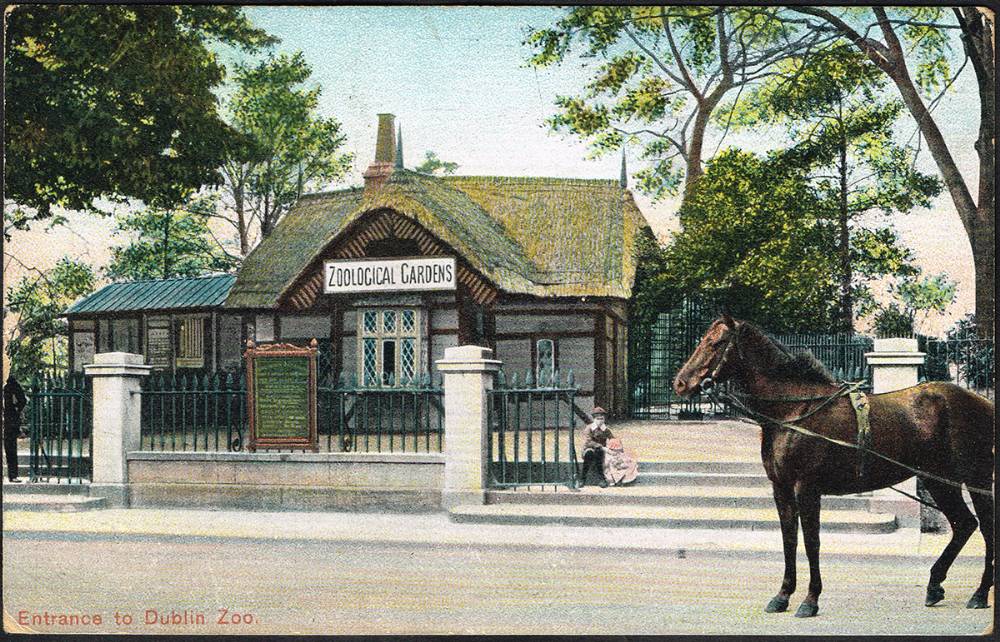 Postcards. Dublin Zoo collection. (45) at Whyte's Auctions