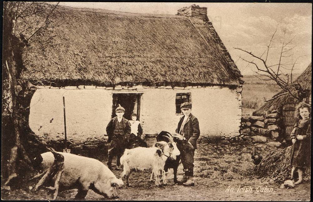 Postcards. Irish Life and Humour collection (150+) at Whyte's Auctions