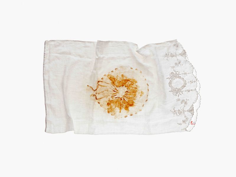 JELLYFISH PILLOWCASE 2, 2004 by Dorothy Cross (b.1956) at Whyte's Auctions