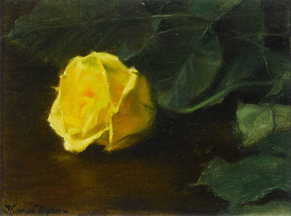 YELLOW ROSE, 1981 by Thomas Ryan PPRHA (b.1929) PPRHA (b.1929) at Whyte's Auctions