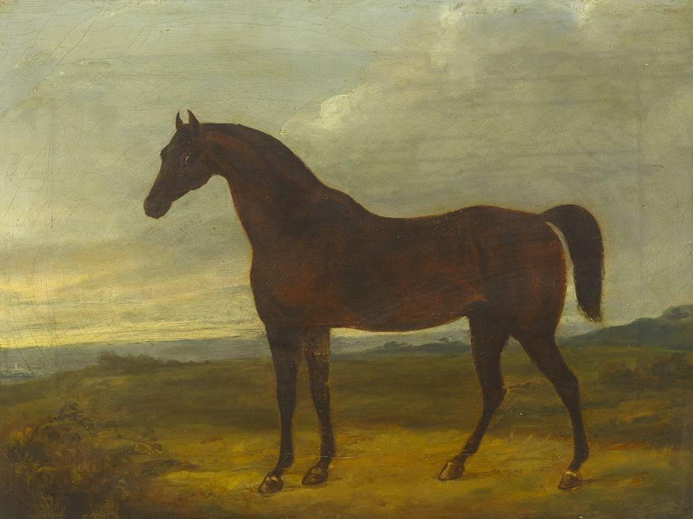 DIOMED, GOT BY FLORIEL OUT OF A SISTER TO JUNO, 1777 at Whyte's Auctions