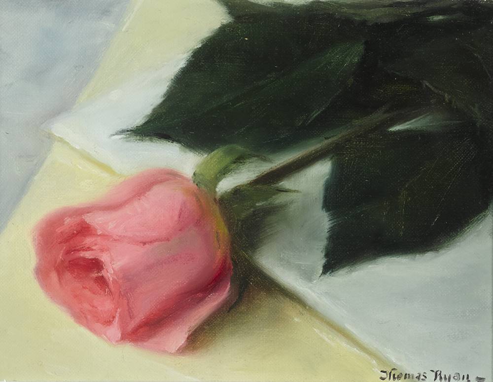 PINK ROSE, 1984 by Thomas Ryan PPRHA (b.1929) PPRHA (b.1929) at Whyte's Auctions