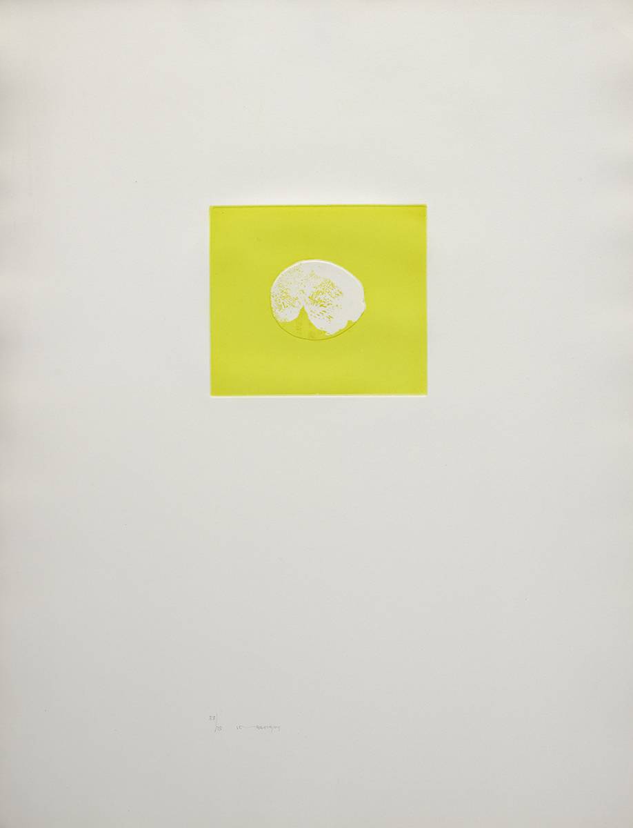 NO LEMON by Louis le Brocquy HRHA (1916-2012) HRHA (1916-2012) at Whyte's Auctions
