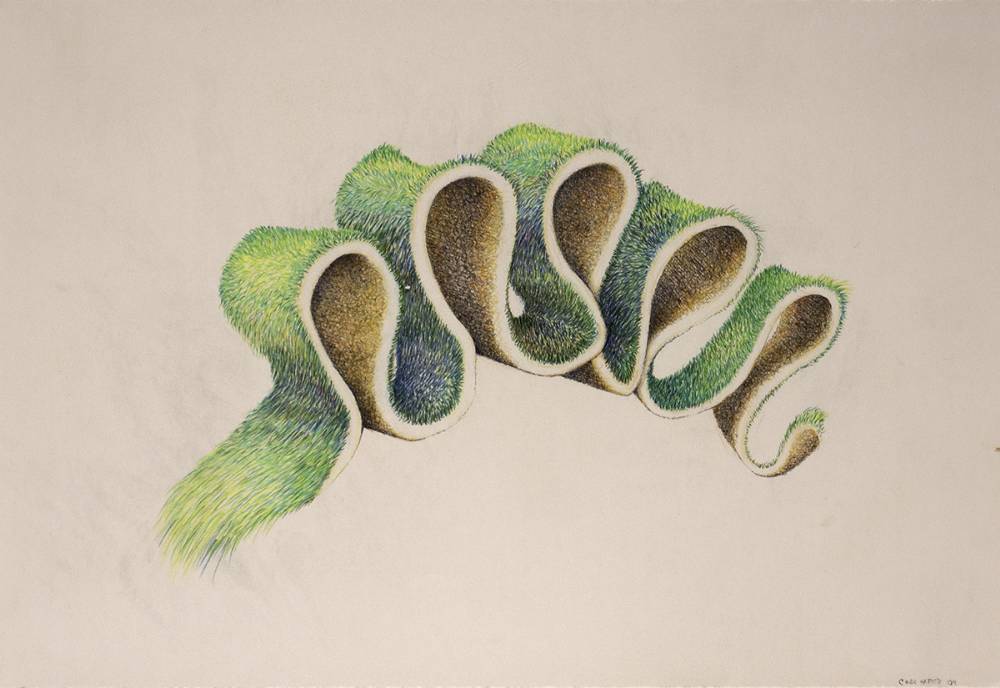 GRASS DRAWING (FIVE PEAKS), 2004 by Cindi Harper  at Whyte's Auctions