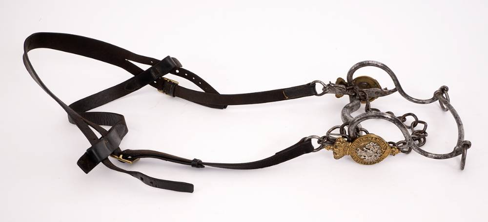 Victorian 8th King's Royal (Irish) Hussars - an officer's bridle. at Whyte's Auctions