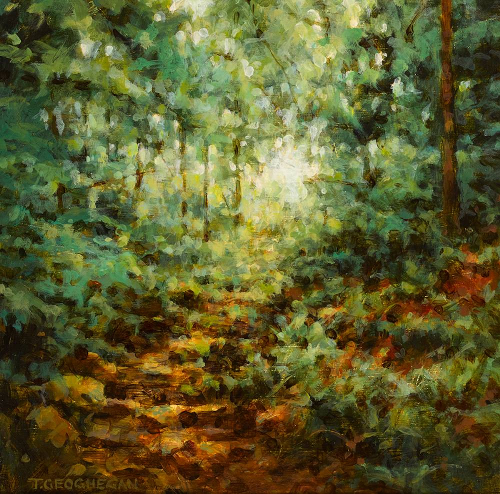 DRY BED, WOODLAND, 1996 by Trevor Geoghegan (b.1946) (b.1946) at Whyte's Auctions