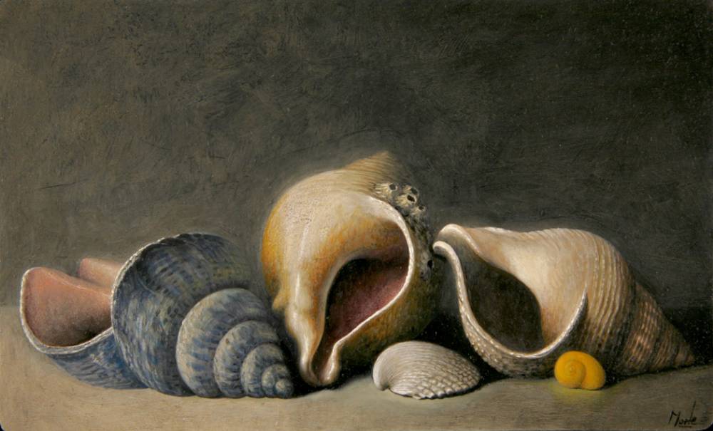 SHELLS by Stuart Morle (b.1960) at Whyte's Auctions