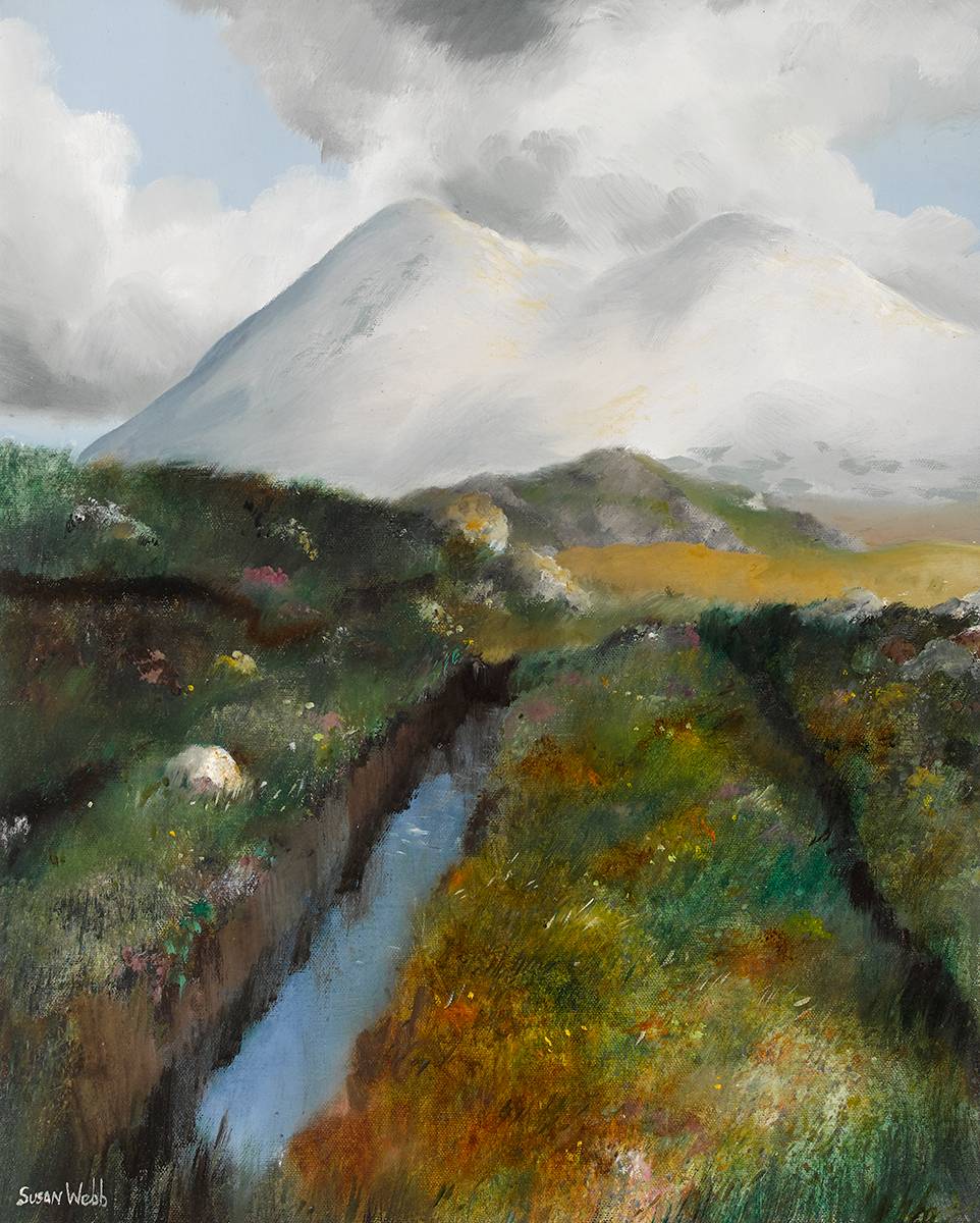 BOG CUT, BALLYNAHINCH, COUNTY GALWAY by Susan Mary Webb (b.1962) at Whyte's Auctions