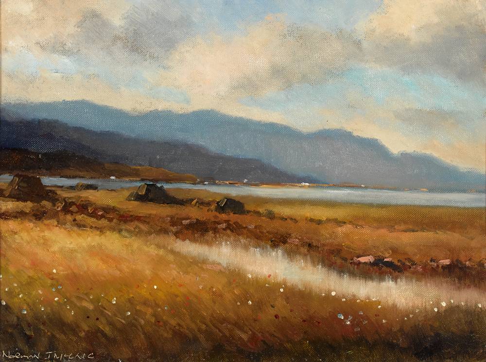 ACHILL PEAT BOG by Norman J. McCaig (1929-2001) at Whyte's Auctions