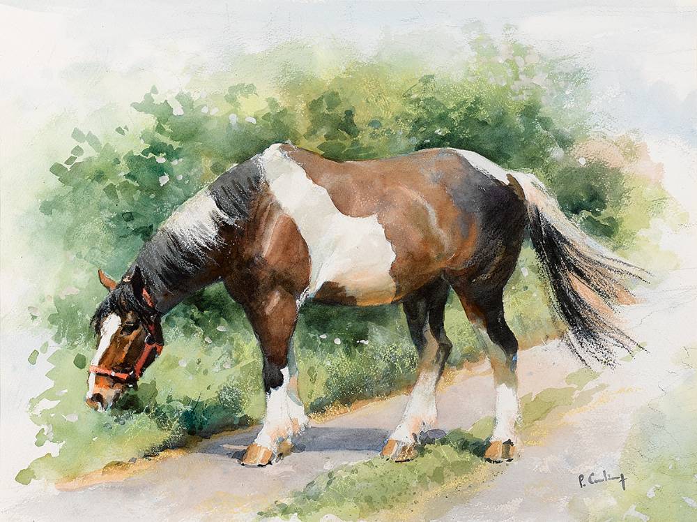 HORSE GRAZING by Peter Curling (b.1955) (b.1955) at Whyte's Auctions