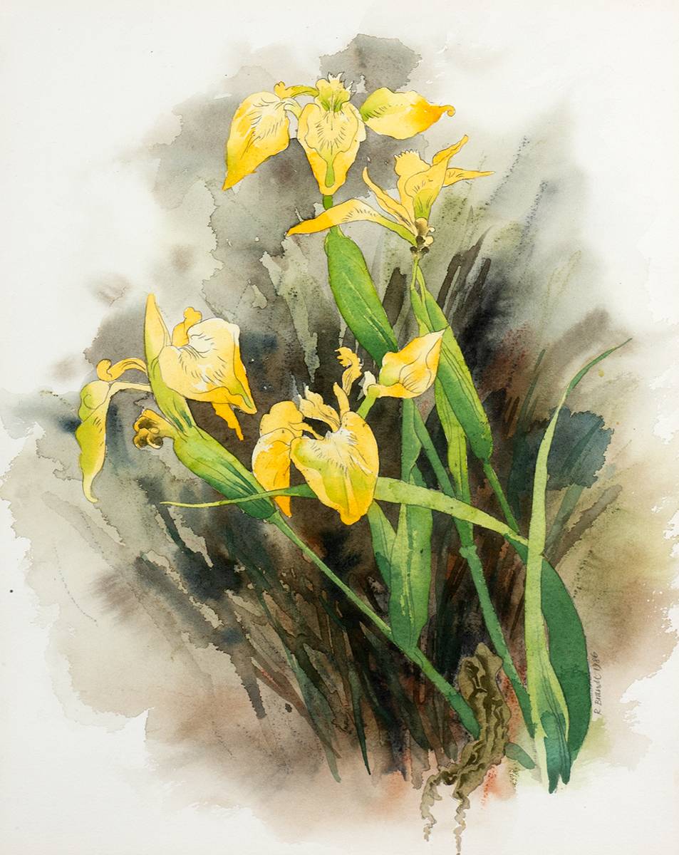 YELLOW IRIS, 1986 by Ruth Brandt (1936-1989) at Whyte's Auctions