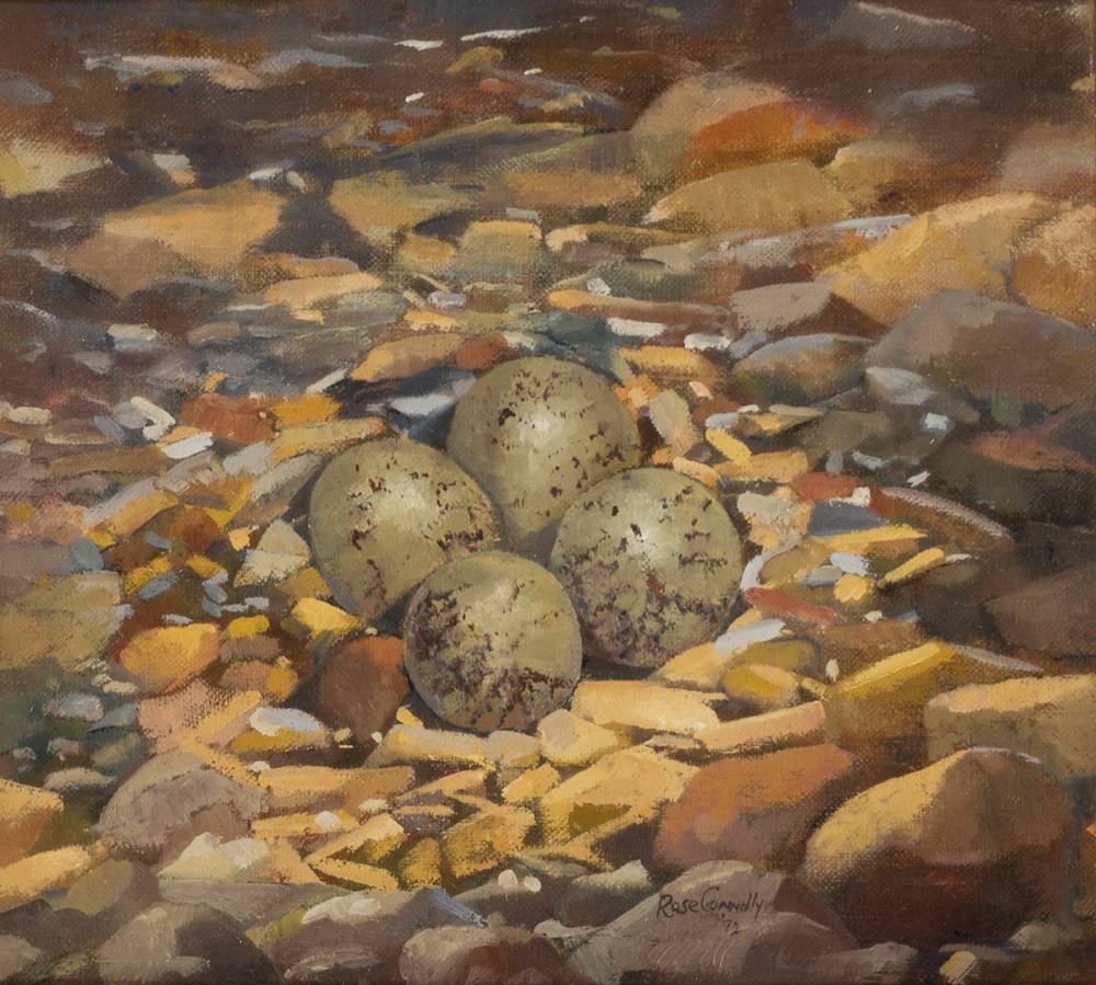 RINGED PLOVER'S EGGS, 1992 by Rose Connolly  at Whyte's Auctions
