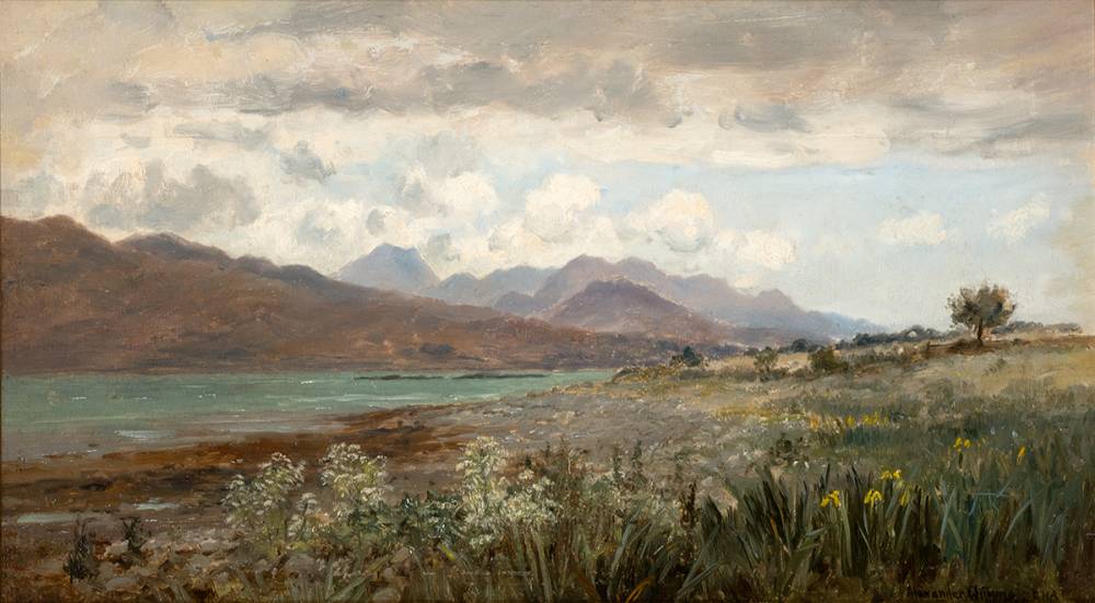 BEACH WITH WILD FLOWERS, COUNTY DONEGAL by Alexander Williams RHA (1846-1930) at Whyte's Auctions