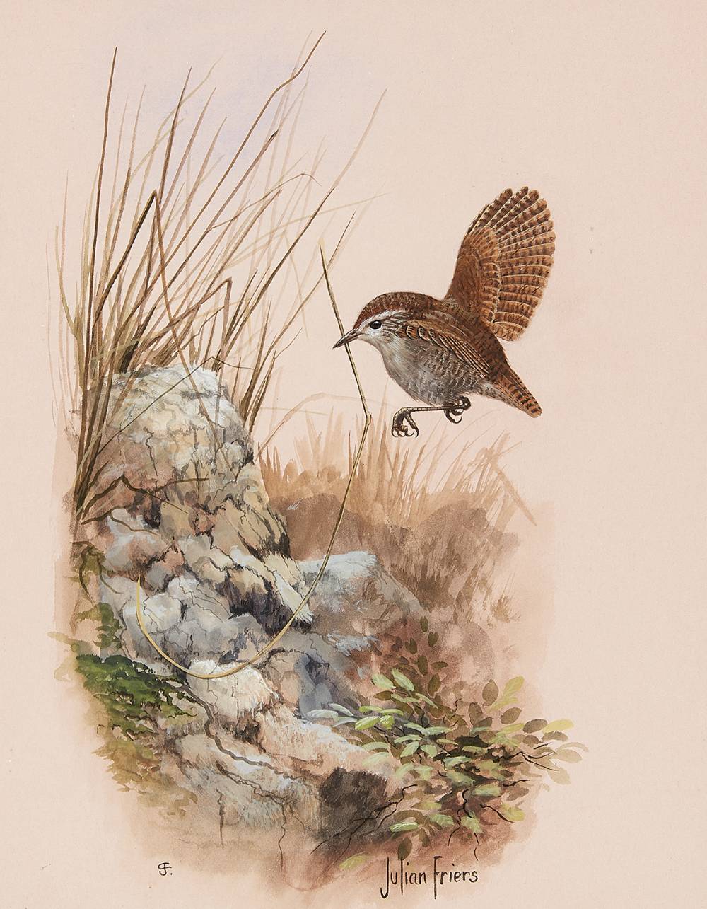 BIRD STUDY by Julian Friers sold for �600 at Whyte's Auctions
