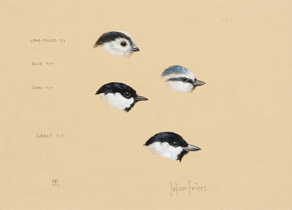BIRD STUDIES [LONG TAILED-TIT, BLUE TIT, COAL TIT, GREAT TIT] by Julian Friers sold for �330 at Whyte's Auctions