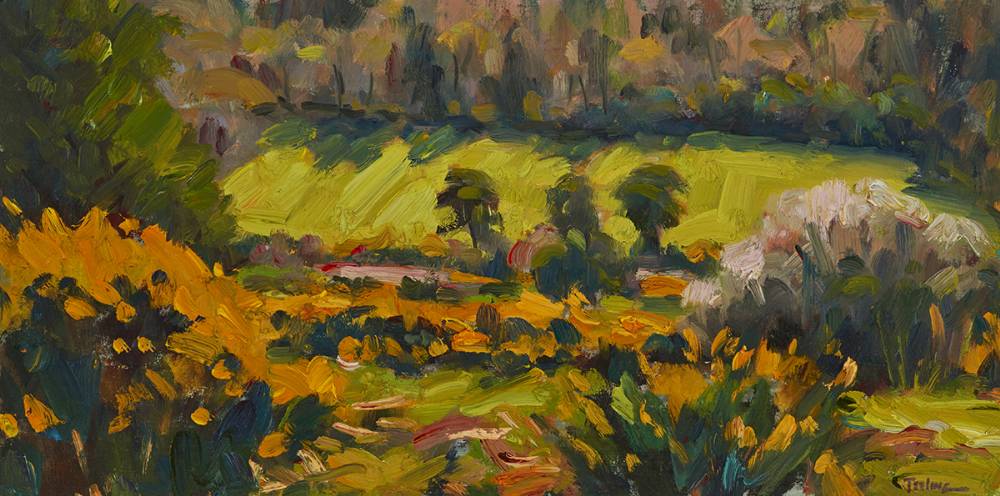 WICKLOW MEADOWS, 2015 by Norman Teeling (b.1944) at Whyte's Auctions