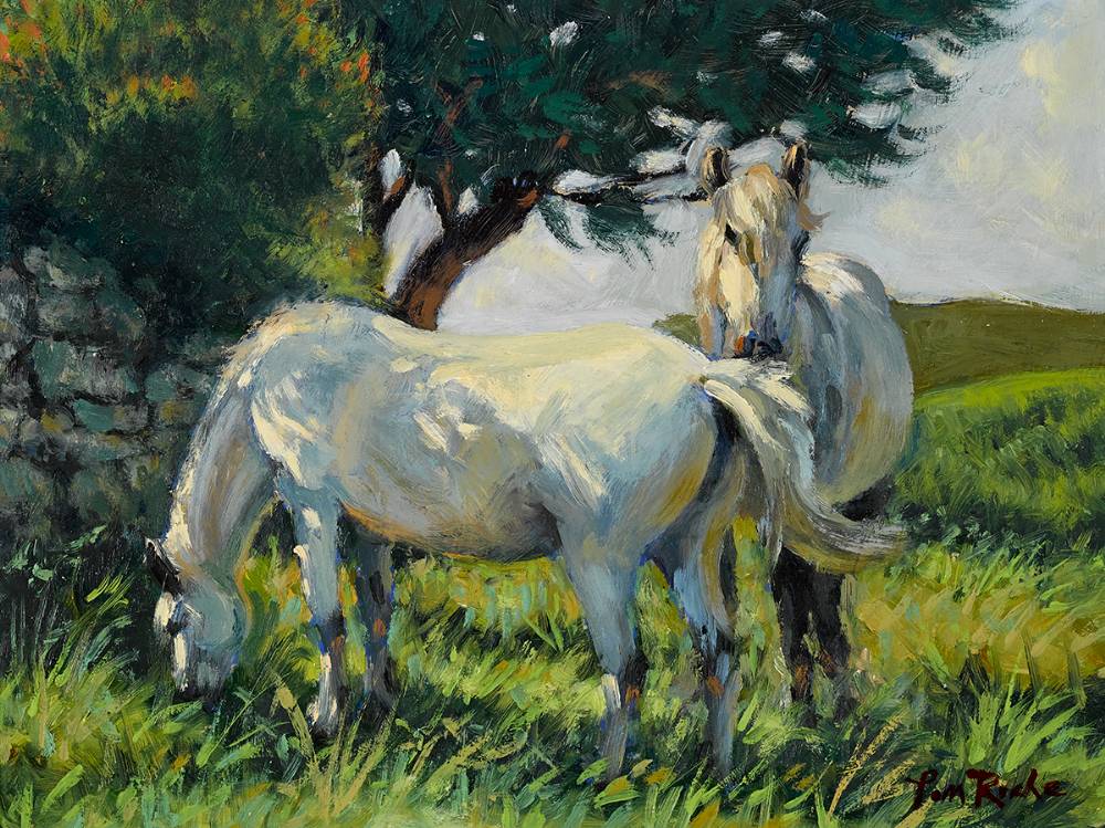 CONNEMARA PONIES by Tom Roche (b.1940) at Whyte's Auctions