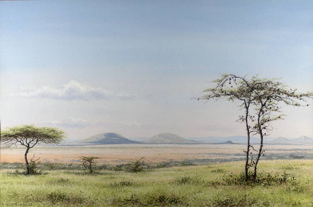 MARA LANDSCAPE by Rob O'Meara (Kenyan, fl. 1972 to present) (Kenyan, fl. 1972 to present) at Whyte's Auctions
