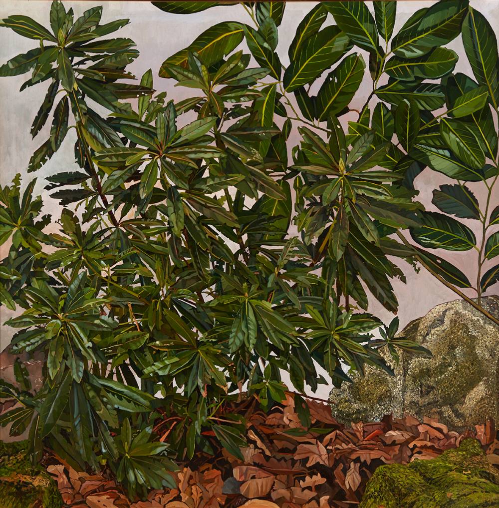 FOREST SCENE WITH RHODODENDRON LEAVES by Philip Moss (b. 1962) at Whyte's Auctions