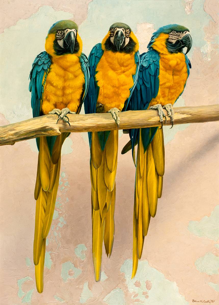 BLUE AND YELLOW MACAW, 1987 by Brian McCarthy sold for �950 at Whyte's Auctions
