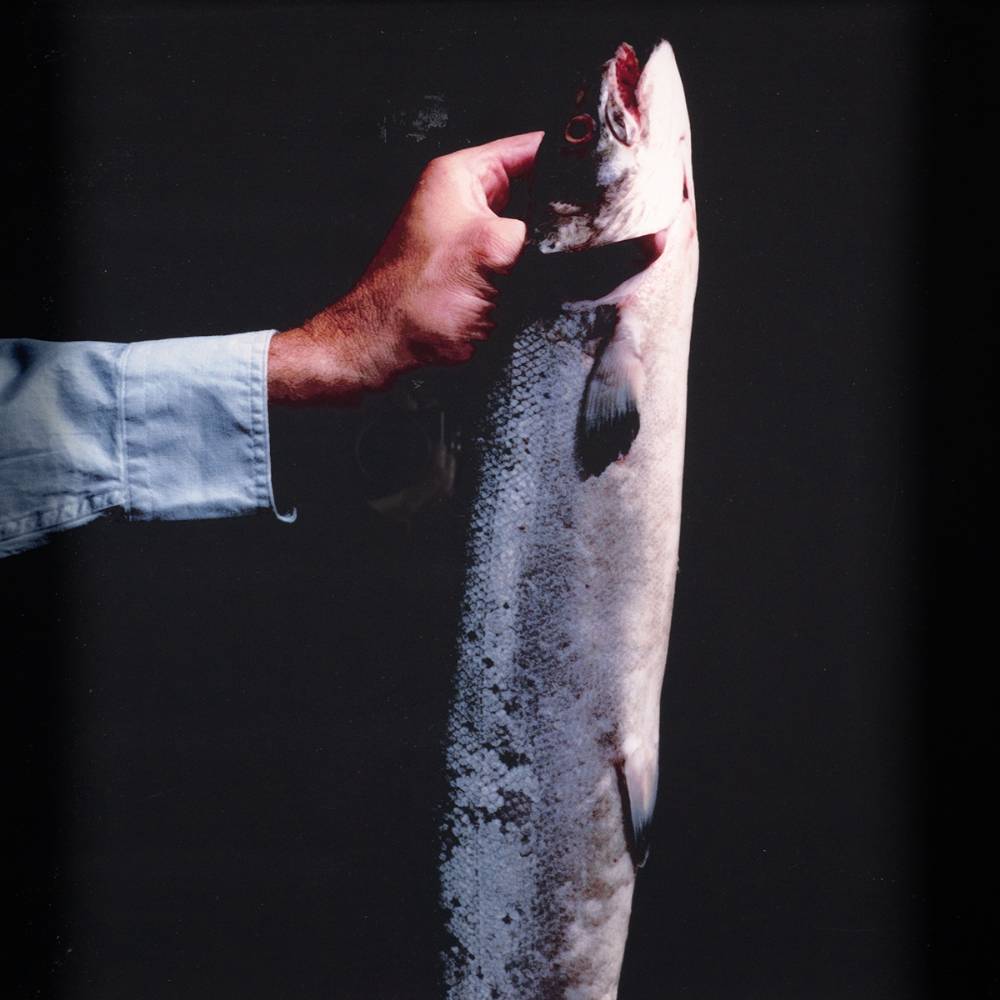 HAND WITH FISH at Whyte's Auctions
