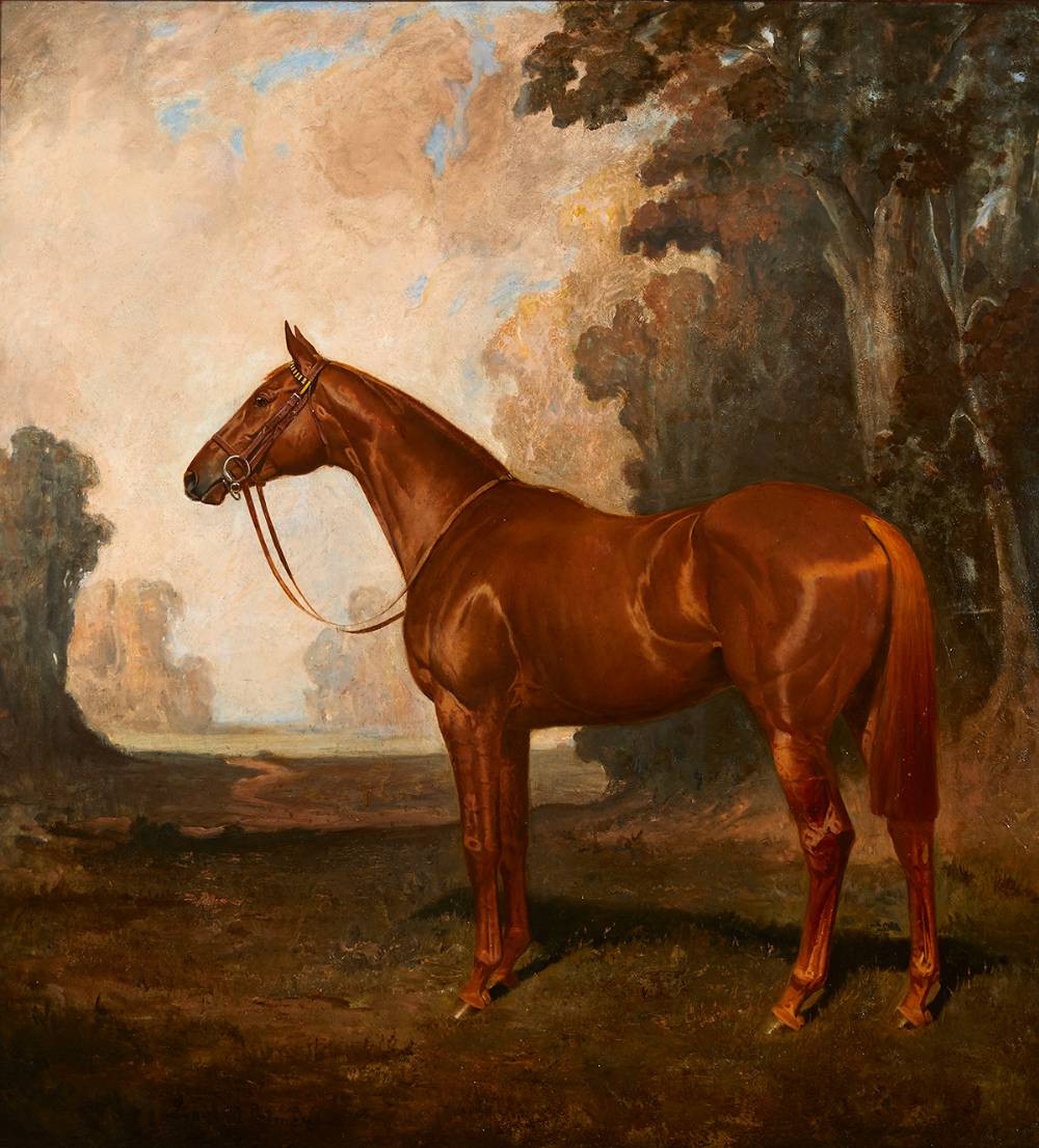 CORCYRA, A CHESTNUT RACEHORSE (OWNED BY LORD LONDONDERRY) by James Lynwood Palmer (British, 1868-1941) at Whyte's Auctions