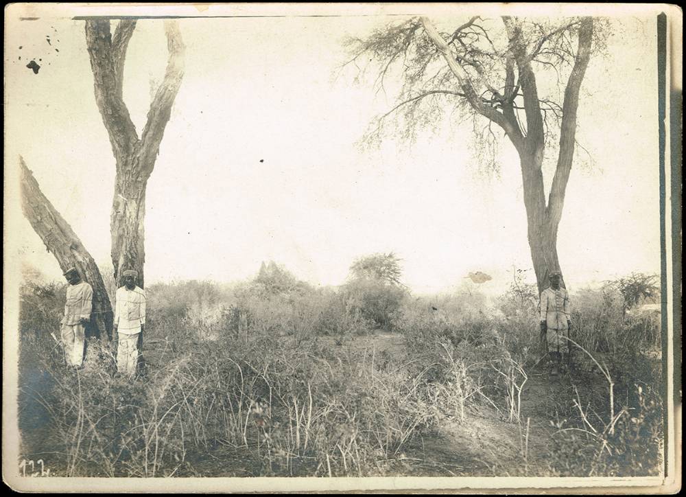Circa 1914-1918. Photographs of executions and flogging in German East Africa. (3) at Whyte's Auctions